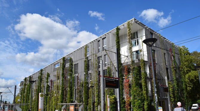 Die Begrünung von Fassaden ist eine Möglichkeit, die Auswirkungen des Klimawandels in Städten zu mildern. FOTOS: VGL BW