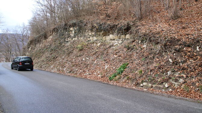 Die Ortsverbindungsstraße, die allgemein als Promillesteige bezeichnet wird. Die Felsformationen entlang der Strecke müssen prof