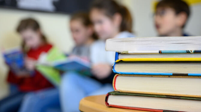 Lesekompetenz gilt in der Schule als Schlüsselqualifikation. Diese hat durch die Corona-Pandemie extrem gelitten.  FOTO: GOLLNOW