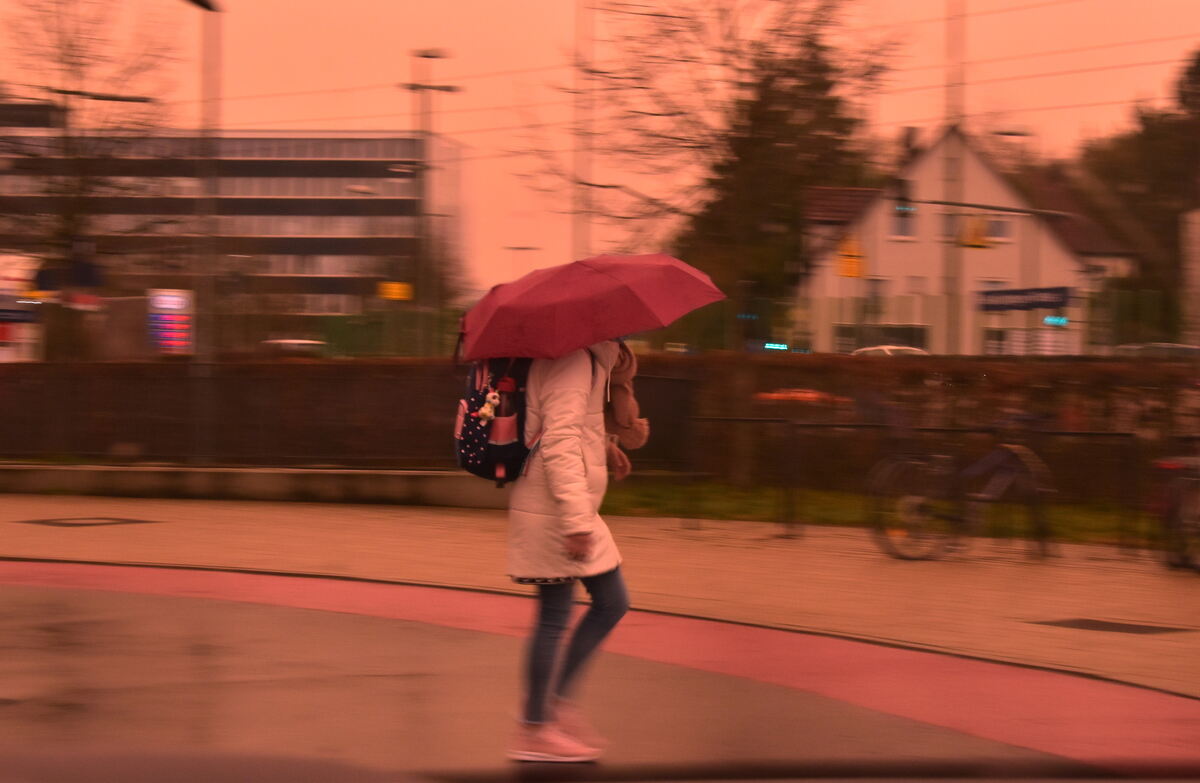 Blutregen in Reutlingen FOTO MEYER