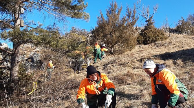 Junge Erwachsene aus sechs europäischen Ländern und Kenia trafen sich zu Pflegemaßnahmen im Biosphärengebiet Schwäbische Alb. F Junge Erwachsene aus sechs europäischen Ländern und Kenia trafen sich zu Pflegemaßnahmen im Biosphärengebiet Schwäbische Alb. F