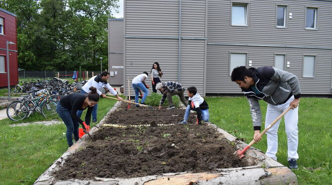 Die schon ab 2016 von geflüchtete Menschen bewohnten Modulhäuser in der Friedrich-Münzinger-Straße sind derzeit belegt. Auf dem
