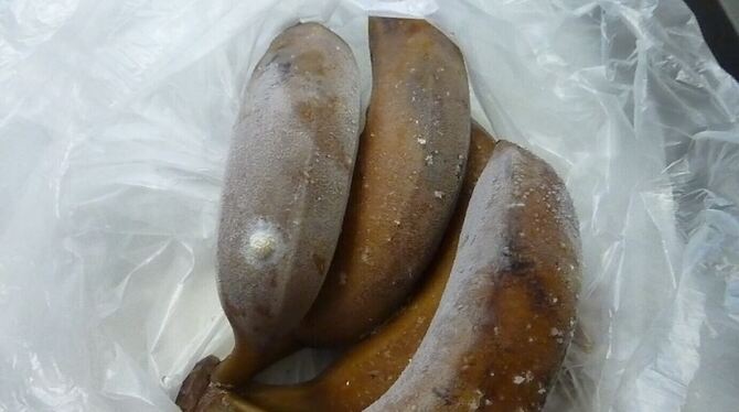 Im letzten Jahr traf die Lebensmittelüberwachung auf Spinneneier an Bananen, eine Drecksoße im Kühlschrank, aber auch auf eine c