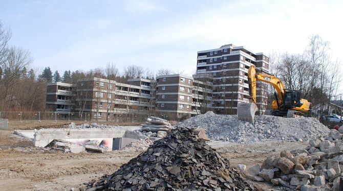 Das Gemeindezentrum Neugreuth gibt es nicht mehr. Seine Baustoffe liegen sorgsam getrennt am Rand des Grundstücks.  FOTO: PFISTE