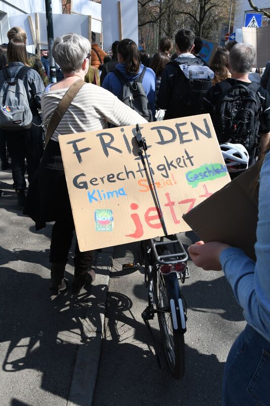 fridaysforfuture_250322_zen_23