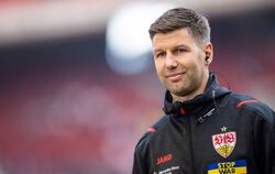 Vorstandsvorsitzender des VfB Stuttgart Hitzlsperger