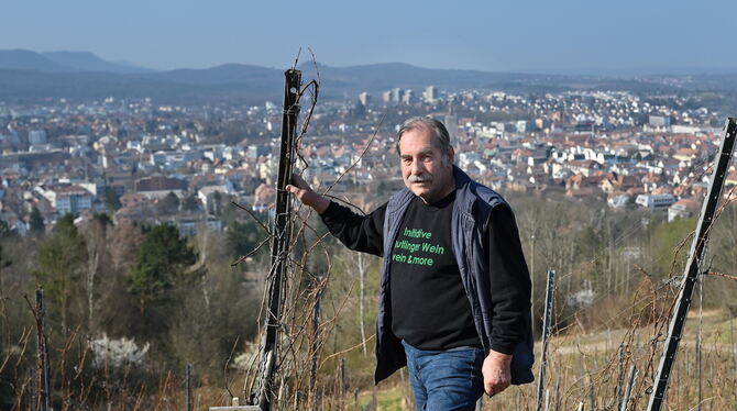 In schönster Panoramalage: Fast 30 Jahre lang hat Gerhard Henzler seinen Weinberg am Fuß der Achalm bewirtschaftet.  FOTOS: PIET