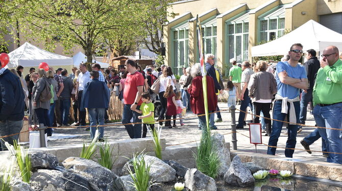 Beim Frühlingserwachen 2017 war die Natur ähnlich weit wie in diesem Jahr. ARCHIVFOTO: SANDER Beim Frühlingserwachen 2017 war die Natur ähnlich weit wie in diesem Jahr. ARCHIVFOTO: SANDER