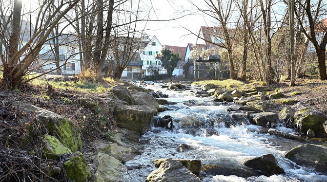 Die Steinlach soll nach den Plänen des Planungsbüros erlebbar werden. Am Ufer sollen unter anderem Holzliegen aufgestellt werden