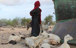 Dürre in Somalia