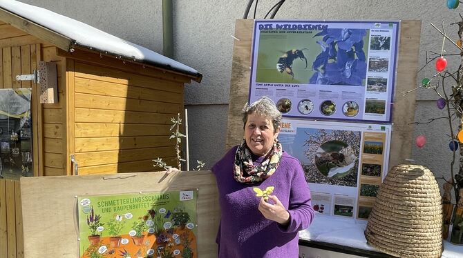 Erika Schlotterbeck will in ihrem Hof über Biene und Co. aufklären. FOTOS: WEBER