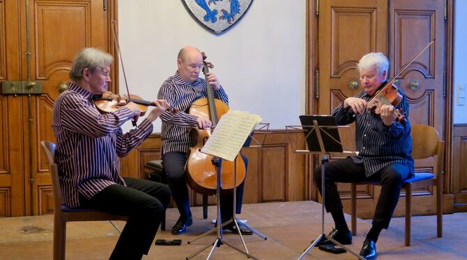Das Zebra-Trio: von links Ernst Kovacic, Violine, Anssi Karttunen, Cello, und Steven Dann, Viola.  FOTO: GÖGGEL