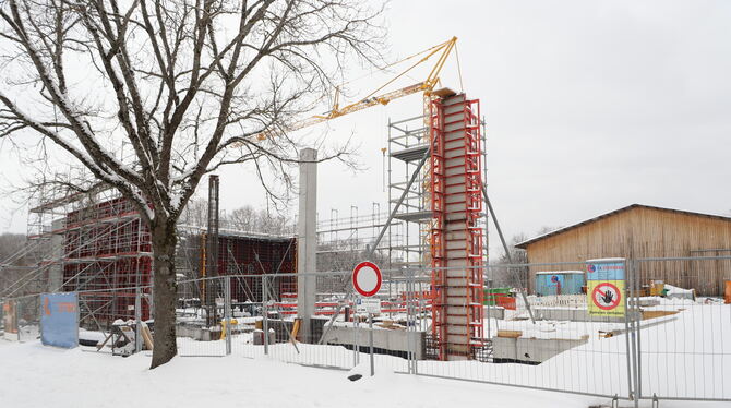 Es wächst stetig: Das neue Getreidemagazin auf dem Gestütshof St. Johann wird im konstruktivem Holzbau errichtet. Nur die Wände
