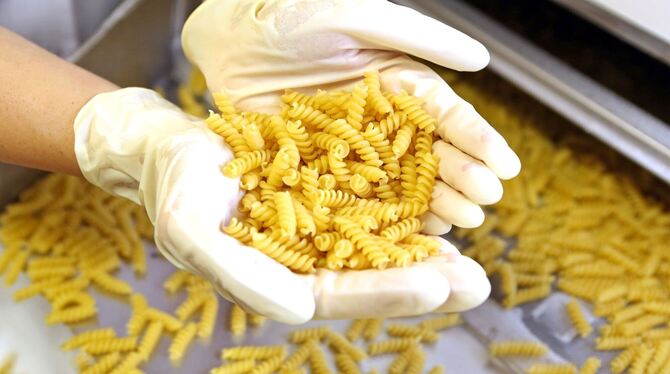 Nudelproduktion Nudelproduktion