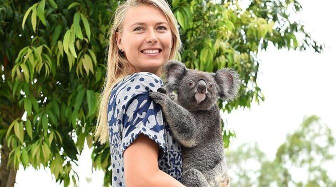 Tennisstar Maria Sharapova stezt sich für Koalas ein. Foto: Dave Hunt