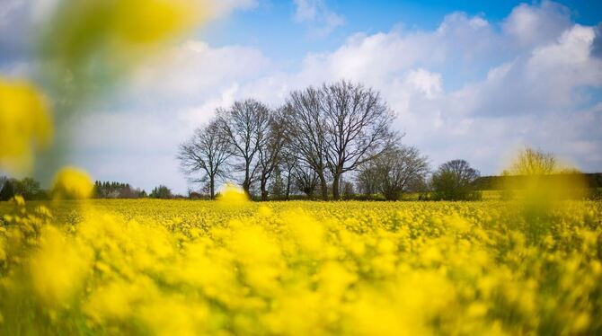 Wetter in Niedersachsen Wetter in Niedersachsen