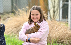 Magdalena Pelz hält ein Kaninchen aus dem Kleintierzuchtverein in den Armen. Auch sie hat Kaninchen als Haustiere.  FOTO: PIETH