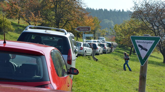 Autoschlange im Naturschutzgebiet an der Olgahöhe in Mössingen.  FOTO: MEYER