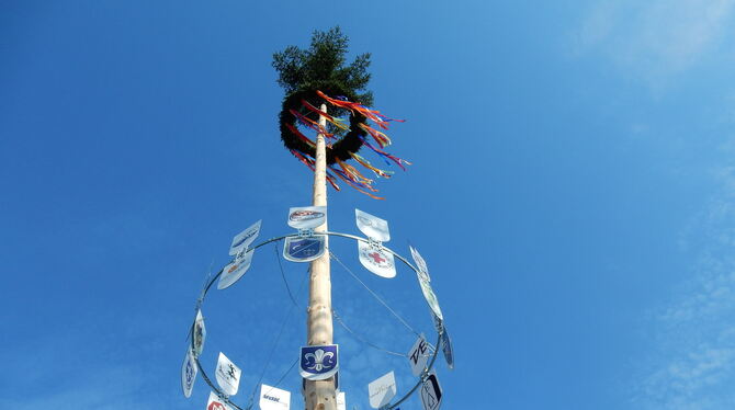 Der neue Eninger Maibaum, erstmals aufgestellt im vergangenen Jahr.  FOTO: PRIVAT