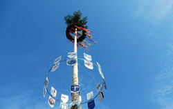 Der neue Eninger Maibaum, erstmals aufgestellt im vergangenen Jahr.  FOTO: PRIVAT