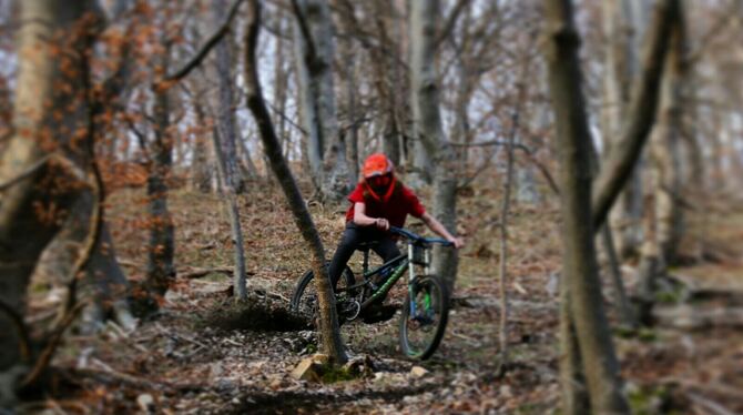 Eine Downhill- Strecke – vielleicht von Wittlingen nach Bad Urach Tal? Der von FWV-Rat Bernd Mayer aufgebrachten Idee erteilt Bü