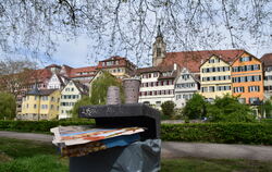 Ohne Verpackungssteuer droht der Müll in Tübingen wieder zuzunehmen.  FOTO: MEYER
