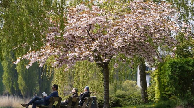 Frühling in Hamburg