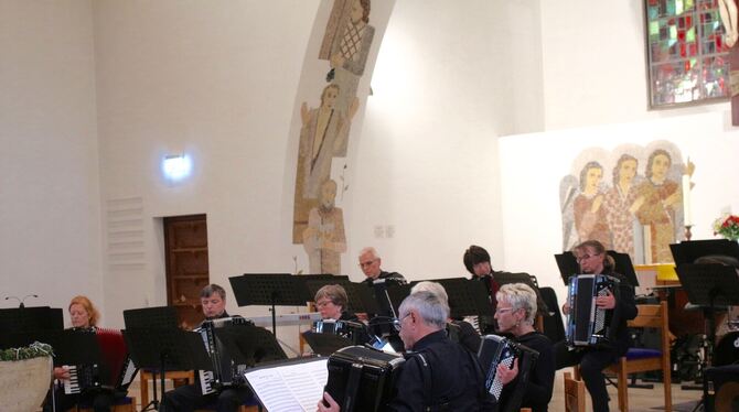 Der Hohner Handharmonika- und Akkordeonclub bei seinem Konzert.  FOTO: SPIESS