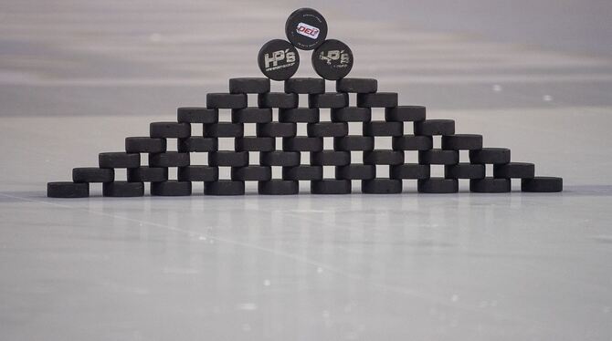 Deutsche Eishockey Liga