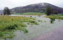 Vom Bach zum Strom: die Erpfmündung beim Hochwasser im Juni 2013.  ARCHIVFOTO: MEYER