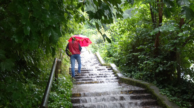 Bei einem Starkregen schoss das Wasser die Treppe am Tübinger Schloss hinab.