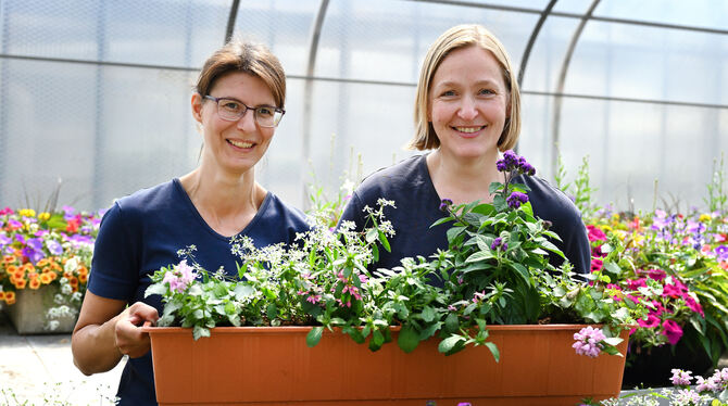 Bärbel Henne (rechts) und Martina Heiß von Dietterlein-Henne präsentieren die bunten Bienen-Oasen. FOTO: PIETH