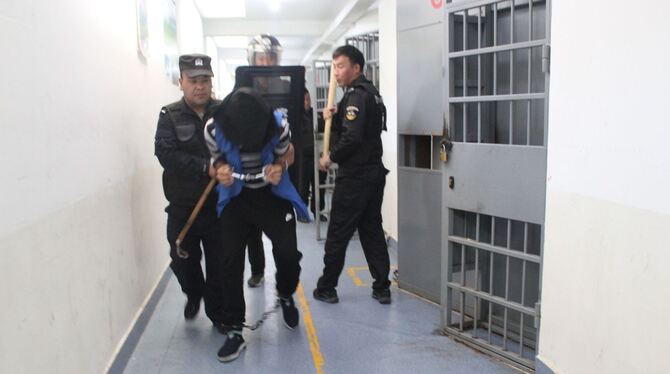 »Xinjiang Police Files«
