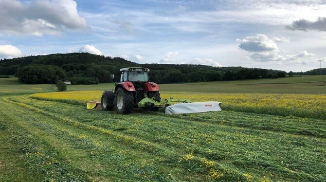 Traktor mit Mähwerk