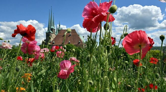 Sonniges Wetter in Erfurt Sonniges Wetter in Erfurt
