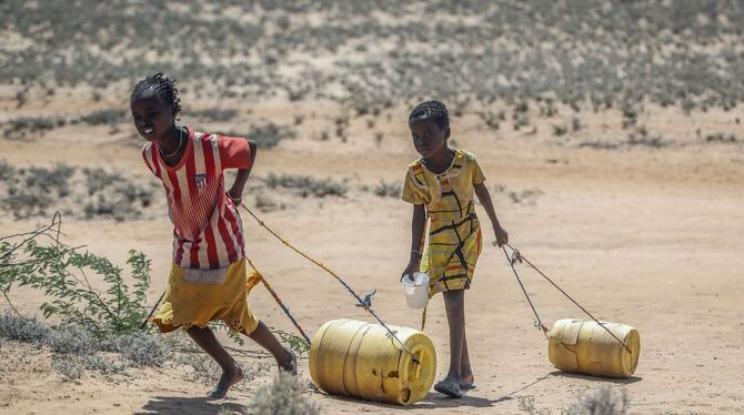 Dürre in Afrika Dürre in Afrika