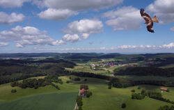 Der Rotmilan und auch Schloss Lichtenstein (im Hintergrund) waren bisher die Hauptgründe dafür, dass Windkraftprojekte auf der A