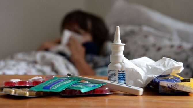 Grippe, Grippewelle, Influenza Früher als üblich hat die Grippewelle in der Region begonnen.