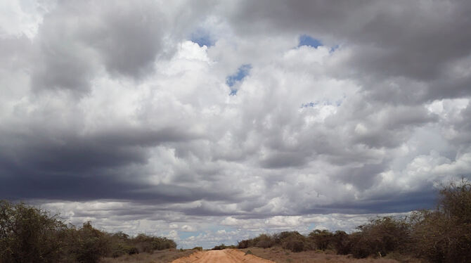 Die Wolken sind da, Regen fällt trotzdem kaum. Der Norden Kenias trocknet aus. FOTOS: WURSTER