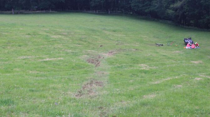 Schwer verletzter Autofahrer erst Stunden nach Unfall aufgefunden