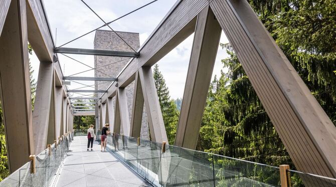 Besucherzentrum im Nationalpark Schwarzwald
