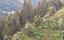 Mehr als 100 deutsche Schüler und Lehrer in Österreich in Bergnot