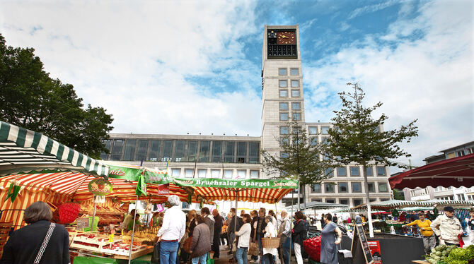 Erstmals findet der Stuttgarter Wochenmarkt auf dem frisch sanierten Marktplatz und zwischen Bäumen statt. FOTO: LG/RUDEL Erstmals findet der Stuttgarter Wochenmarkt auf dem frisch sanierten Marktplatz und zwischen Bäumen statt. FOTO: LG/RUDEL