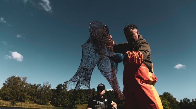 Fang von Sumpfkrebsen