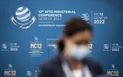 12. WTO-Ministerkonferenz in Genf
