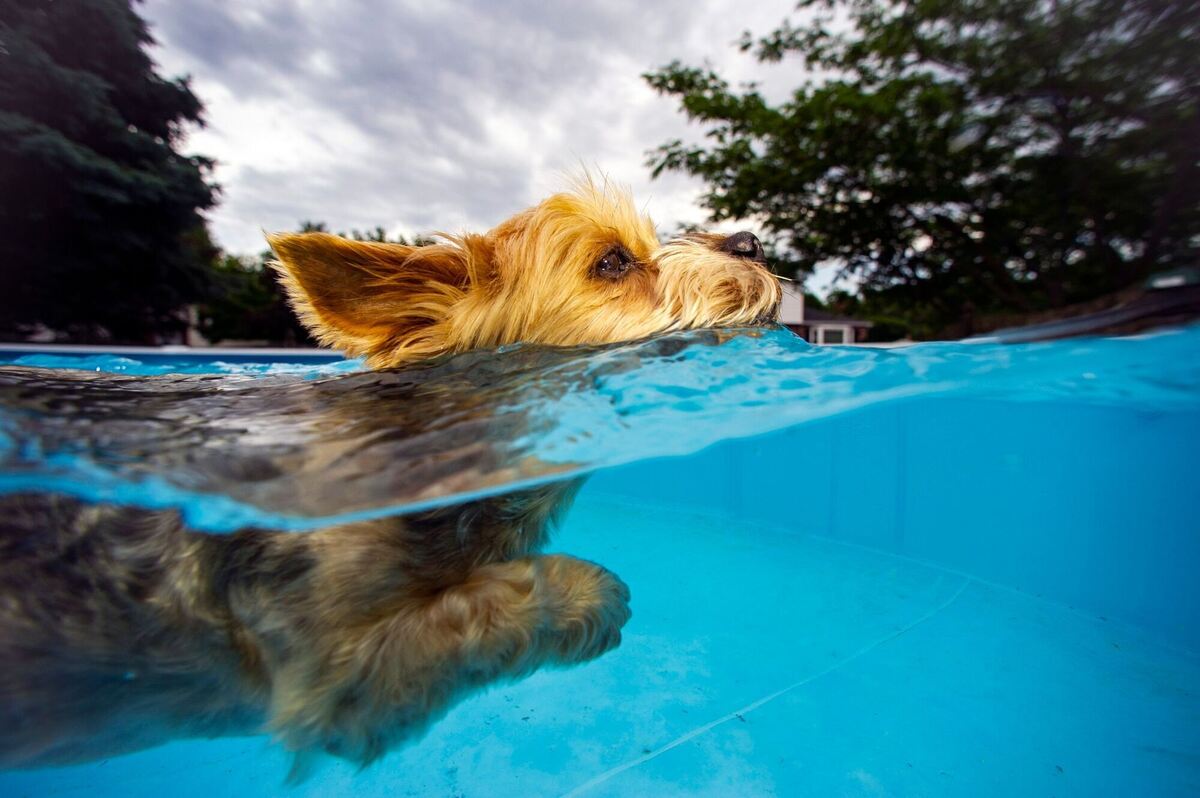 Kühles Nass Kühles Nass