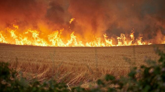 Waldbrände in Spanien Waldbrände in Spanien