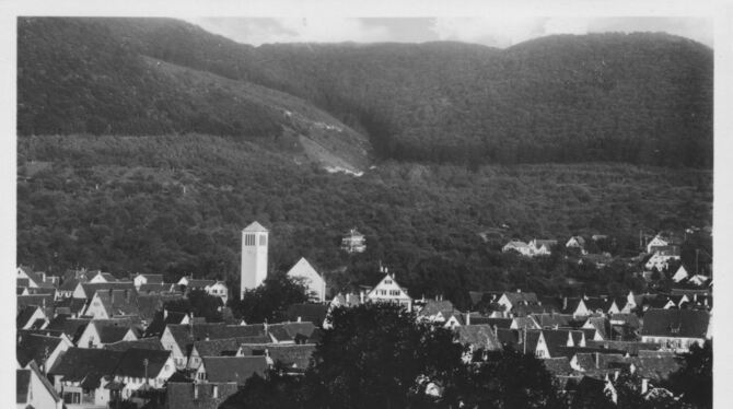 Eine Ansichtskarte aus dem Archiv des Heimat- und Geschichtsvereins zeigt das Tommental in dem 1930er-Jahren, im Hintergrund der