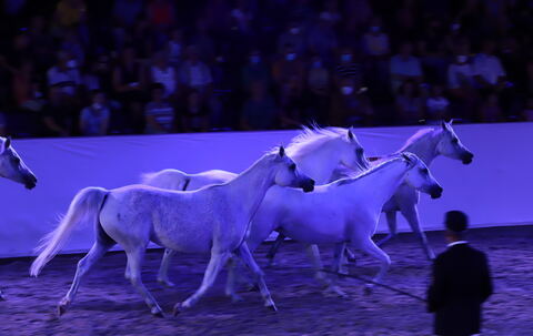 Marbach_Classic_2022_