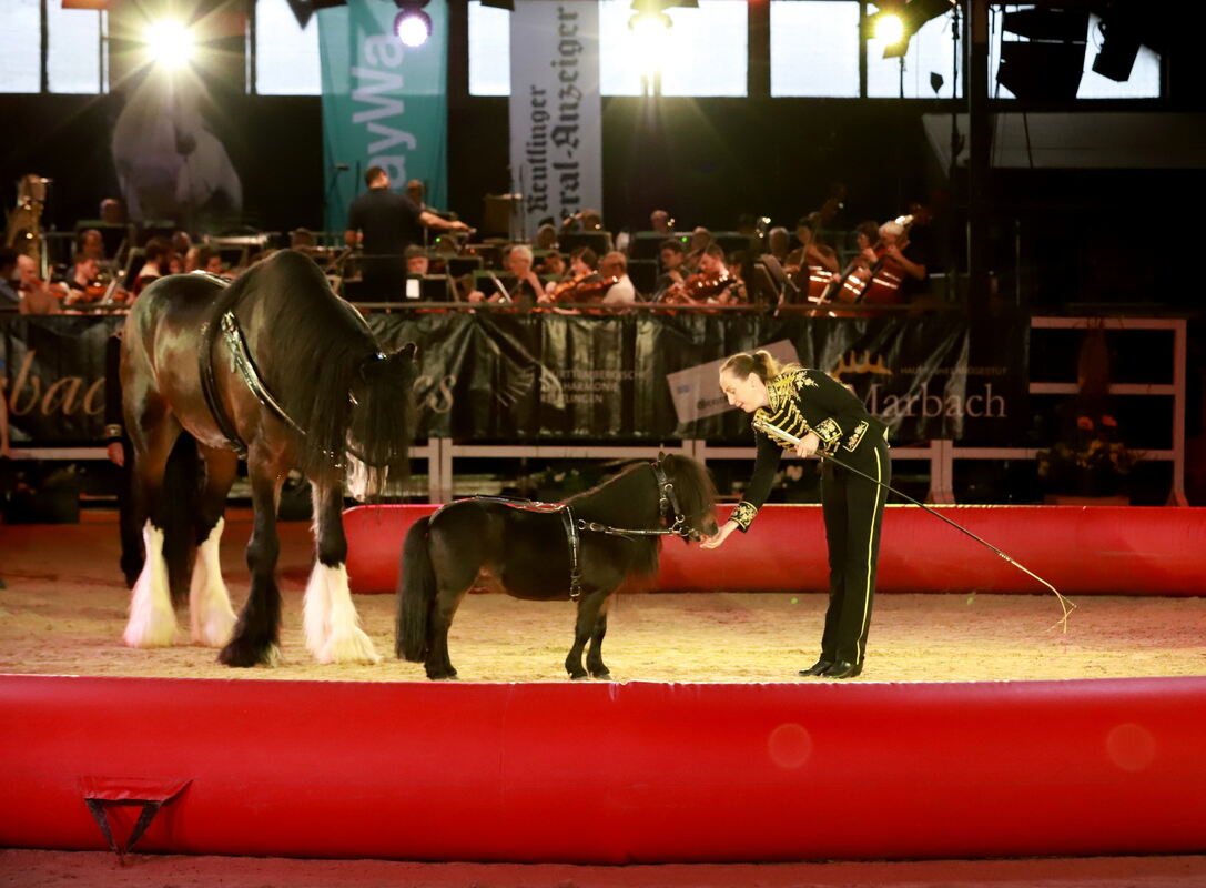 Marbach_Classic_2022__065